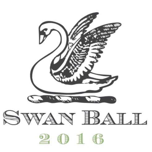 SwanBall16